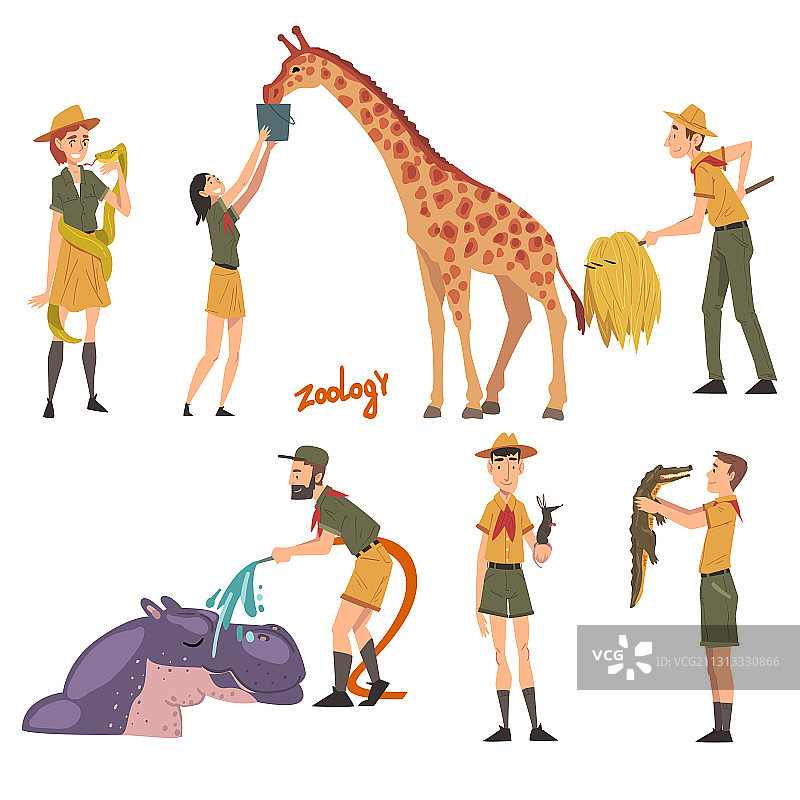 动物园专业工作人员护理野生动物图片素材