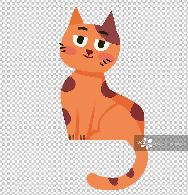 猫图片素材