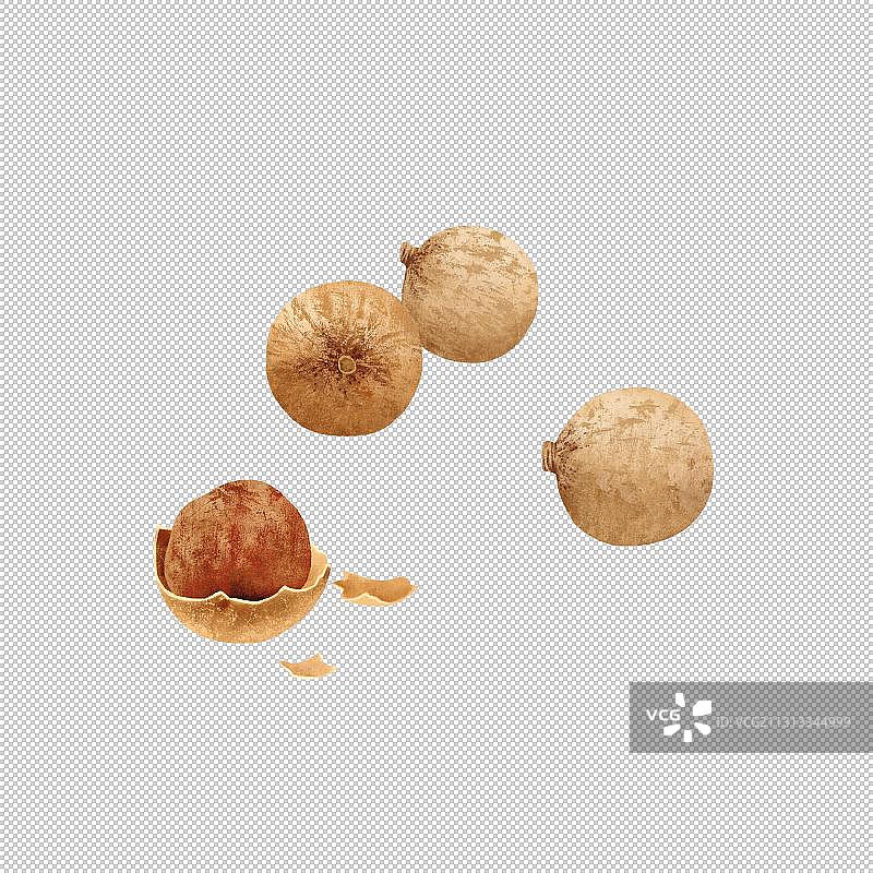 桂圆干龙眼干桂圆肉插画图片素材