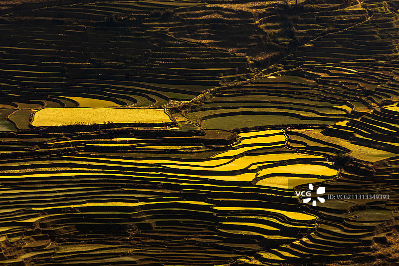 元阳梯田老虎嘴图片素材