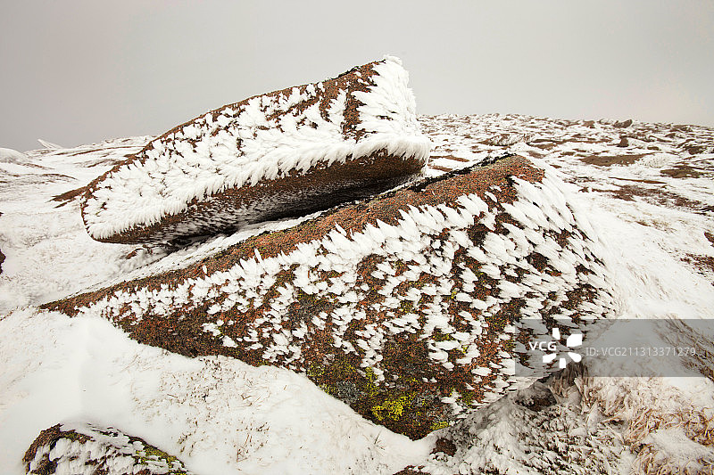 凯恩戈姆高原花岗岩巨石上的毛霜，英国苏格兰图片素材