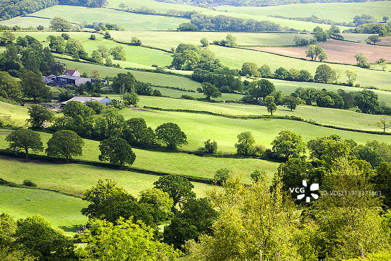 英国多塞特郡 Fishpond Bottom 的农田和乡村图片素材