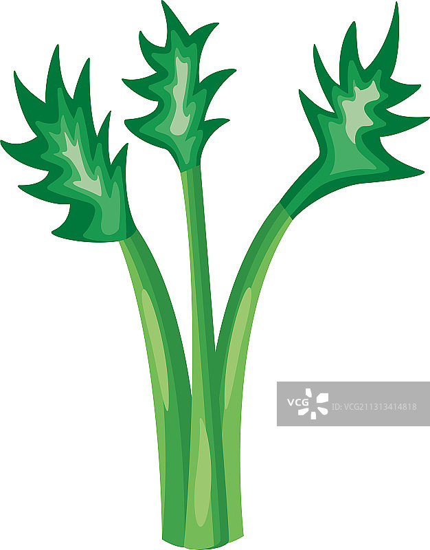芹菜健康蔬菜详细风格图标图片素材