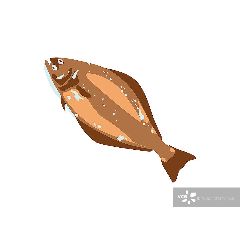 比目鱼大比目鱼商业海洋鱼类品种图片素材