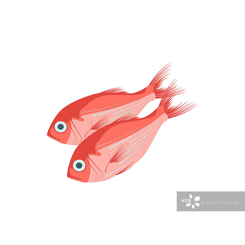 海鲈鱼红鲷鱼生鲜图片素材