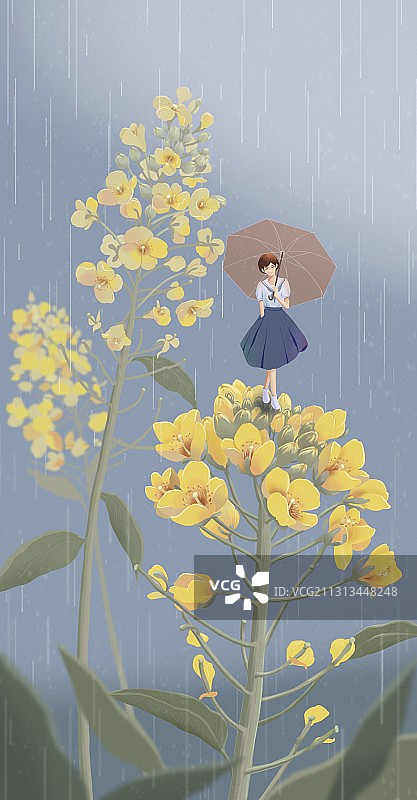 油菜花雨天和打伞的女孩图片素材