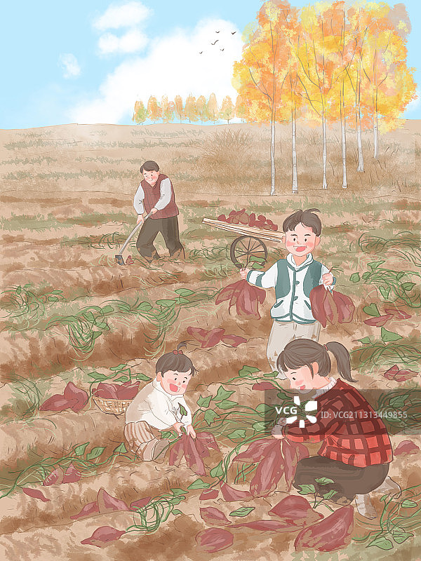 节气寒露—竖版无字图片素材