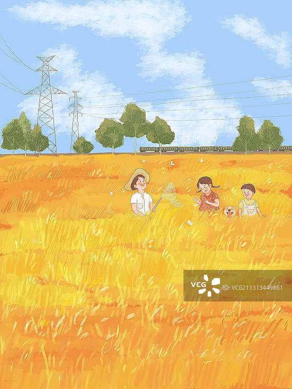 节气芒种—竖版无字图片素材