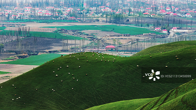 新疆伊犁新源县吐尔根杏花沟图片素材