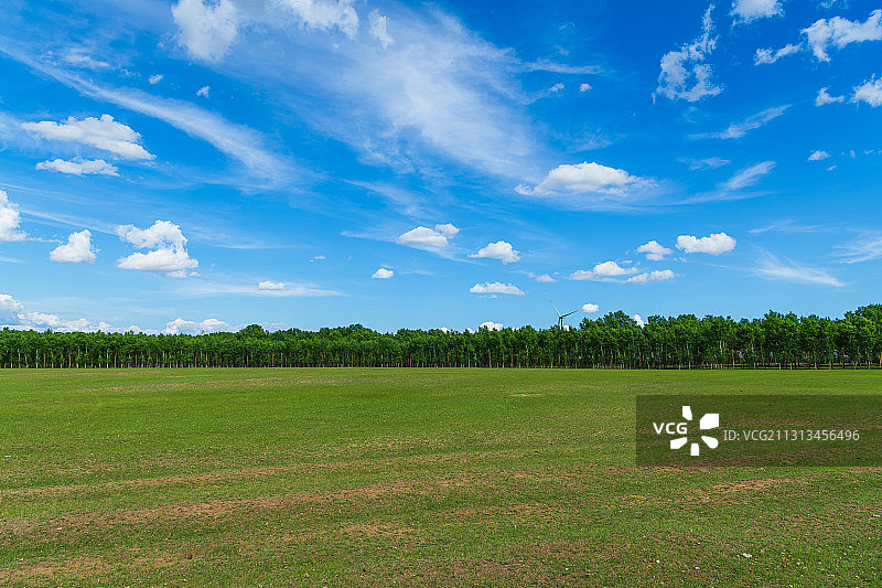 黑龙江大庆市杜尔伯特蒙古族自治县树林草坪风车图片素材