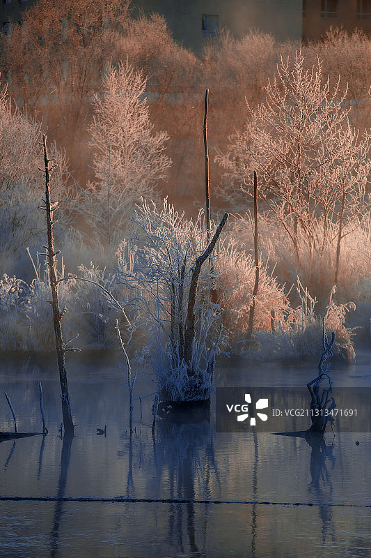 东北冷雪冰雾凇四方顶子雾凇岛吊水湖流星雨双子座魔界图片素材