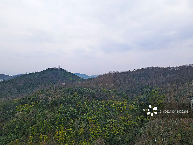 贵州省遵义市汇川区植物园图片素材