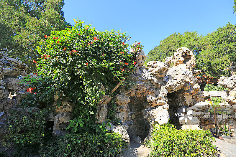 北京故宫（紫禁城）御花园风光图片素材