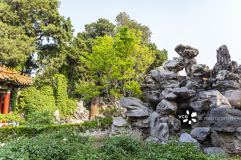 北京故宫（紫禁城）御花园风光图片素材