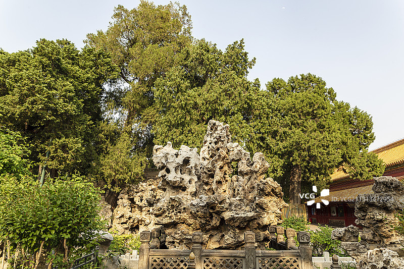 北京故宫（紫禁城）御花园风光图片素材