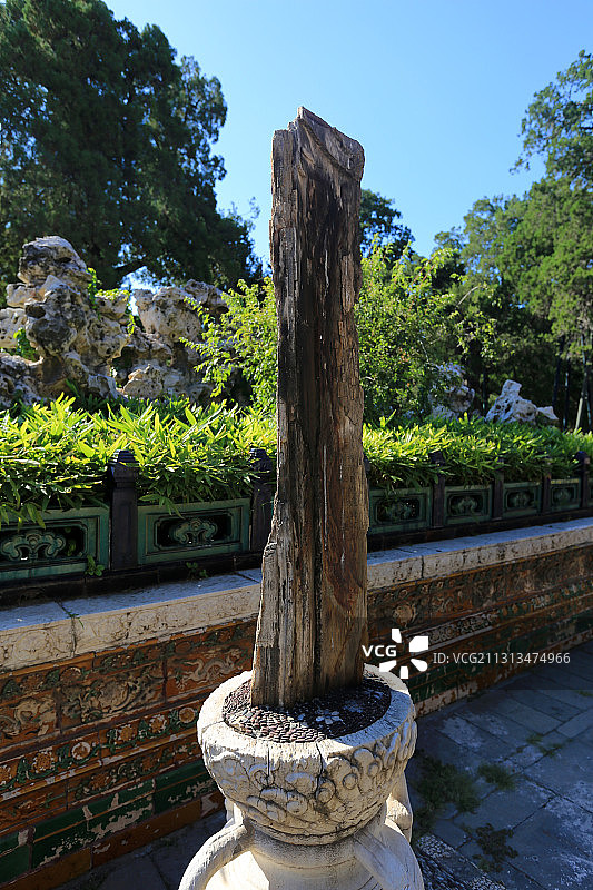 北京故宫御花园木化石（木变石）图片素材