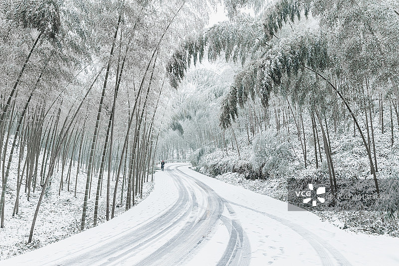 竹海雪景图片素材