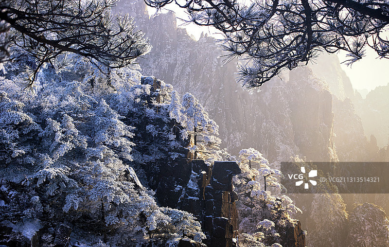 黄山雾凇图片素材