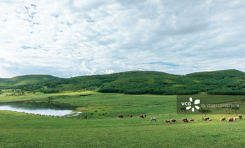高原牧场图片素材