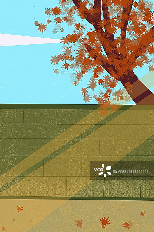 户外风景枫叶图片素材