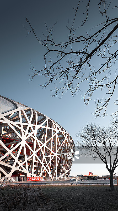 北京奥林匹克公园的鸟巢建筑摄影树枝与鸟巢图片素材