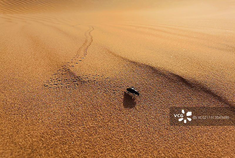 沙漠风情图片素材