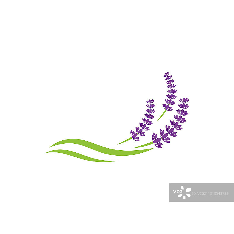 薰衣草花图标图片素材