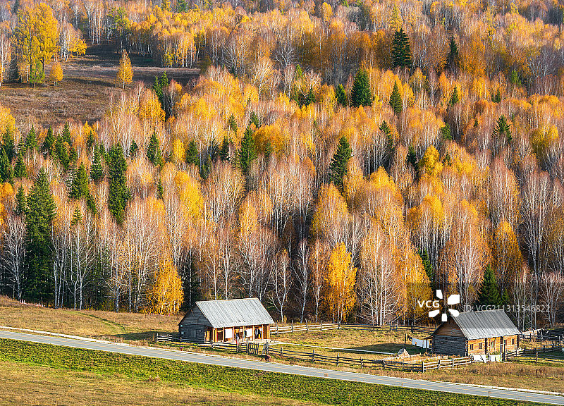 中国新疆禾木最美秋色图片素材