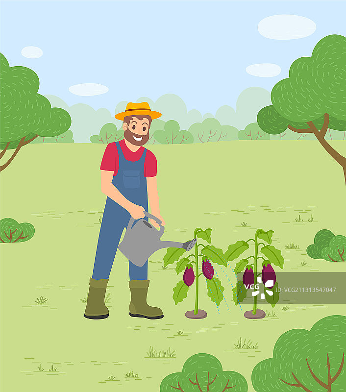 农民在农场给茄子浇水图片素材