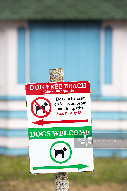 英国埃塞克斯郡布莱特灵西海滩小屋旁的禁止遛狗区标志图片素材