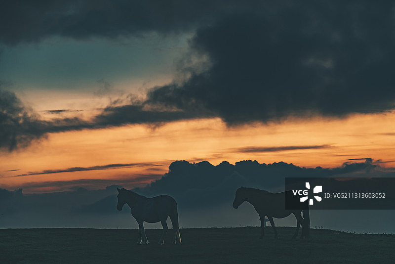 贵州乌蒙大草原风光图片素材
