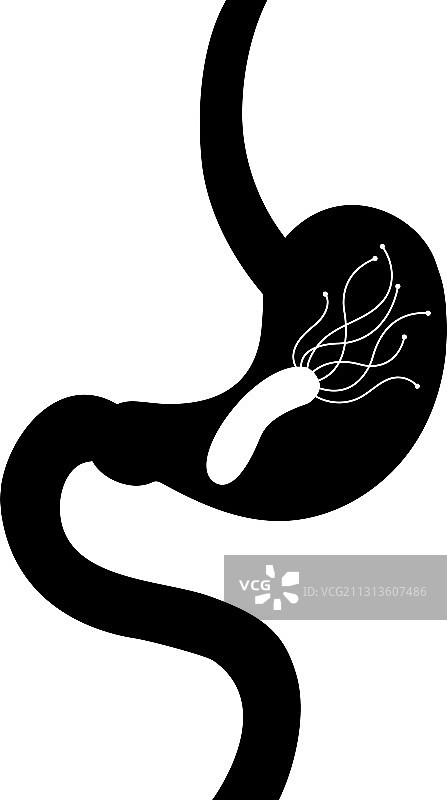 胃部与幽门螺杆菌图片素材