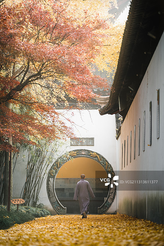 一名僧侣走过苏州西园寺铺满银杏树叶的道路图片素材