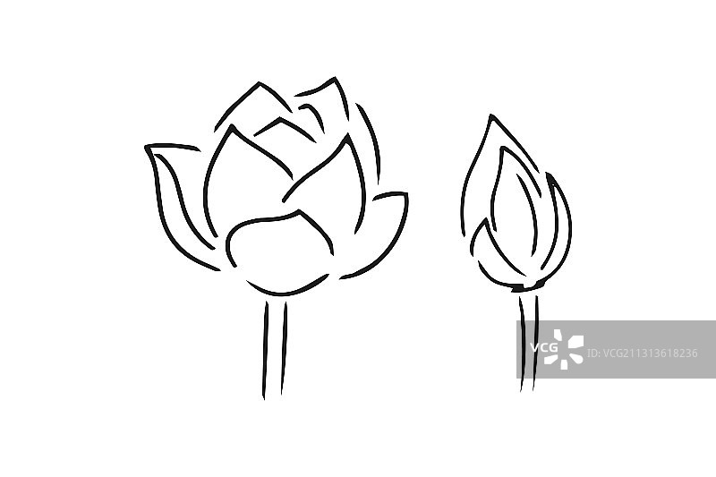 白色背景上的涂鸦莲花图标图片素材