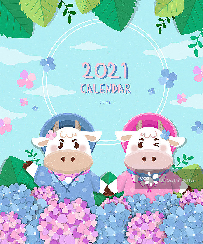 六月日历矢量插画：两头牛在绣球花田中手牵着手图片素材