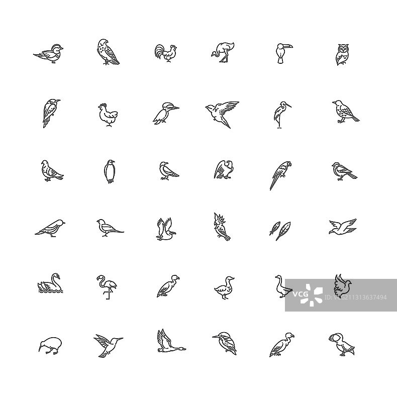 不同鸟类线性图标套装图片素材
