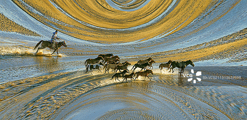 _群马奔腾图片素材