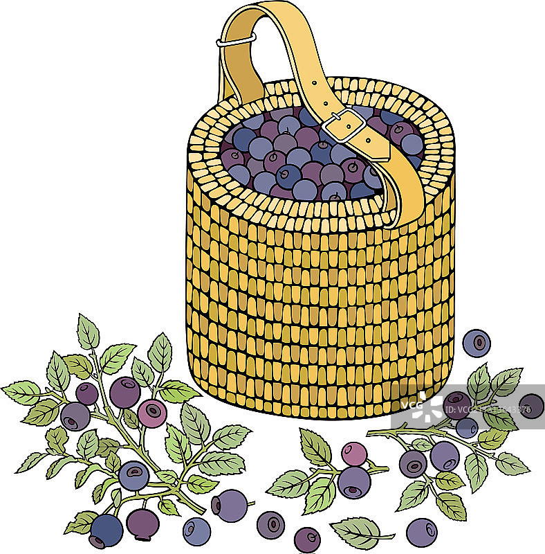 篮子里的卡通蓝莓图片素材