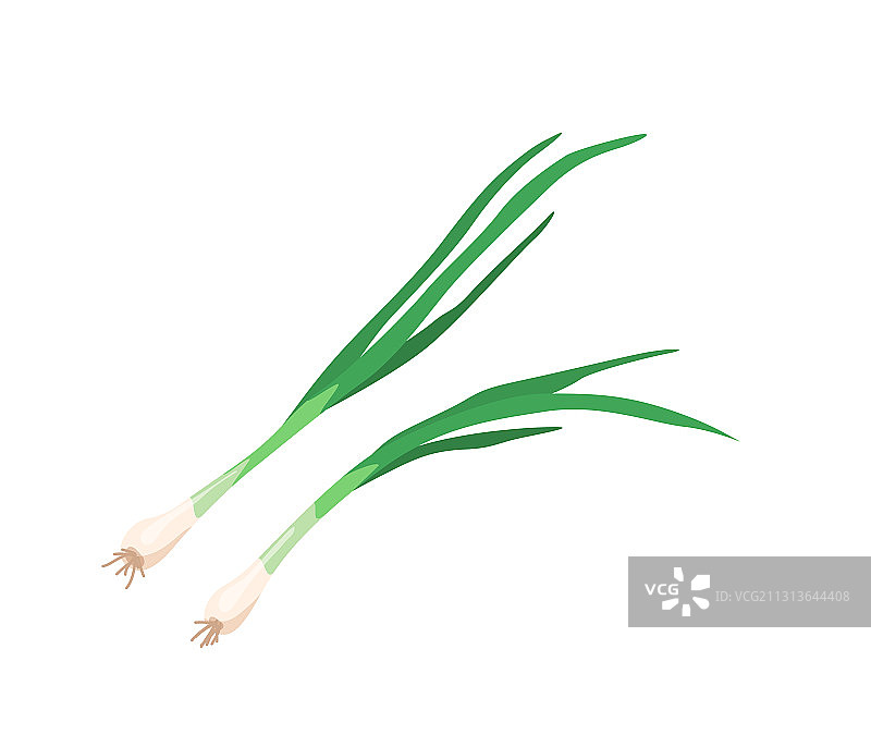 卡通风格的鲜艳绿色葱叶图片素材