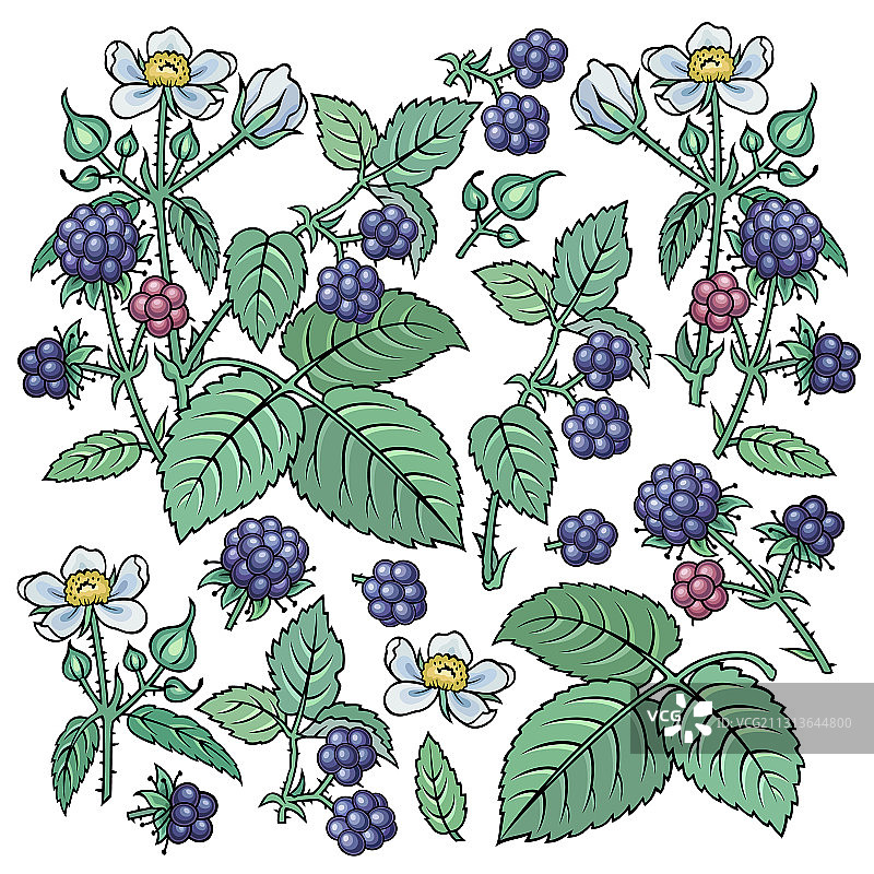 手绘露莓元素合集图片素材