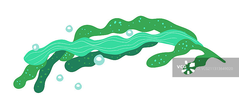 白色背景上的藻类图片素材