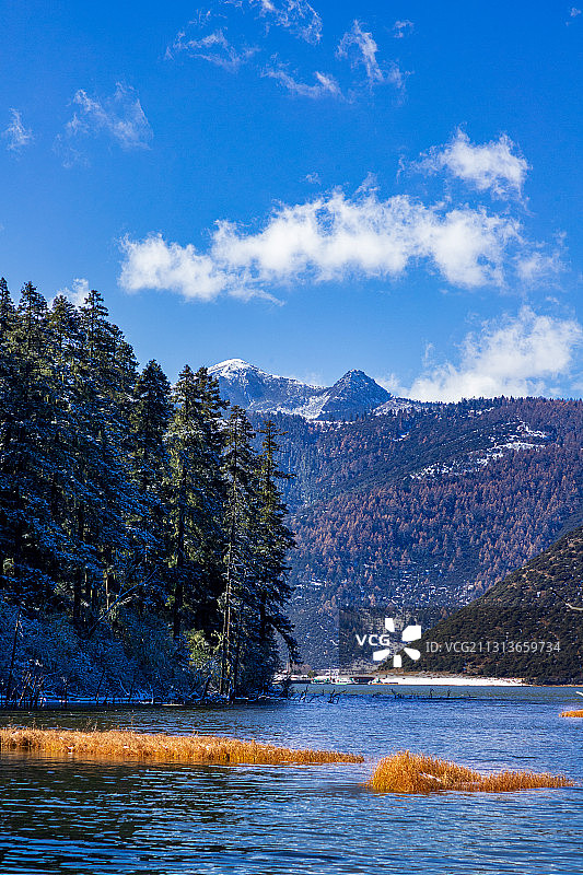 《冬雪》普达措国家公园，云南省  迪庆藏族自治州 香格里拉市图片素材
