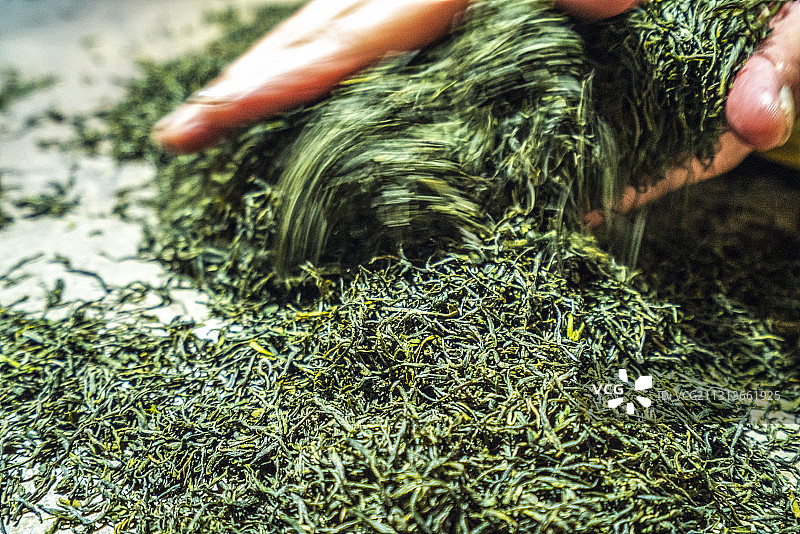 高山云雾出好茶，茶香景美入画来图片素材