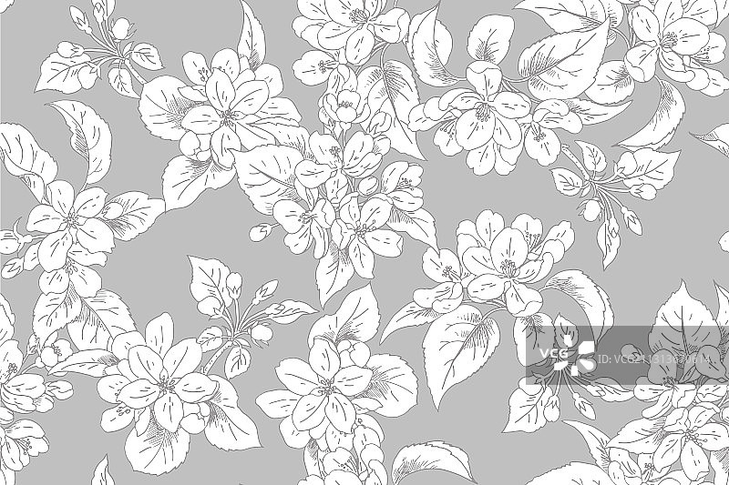 苹果花盛开无缝背景 1图片素材