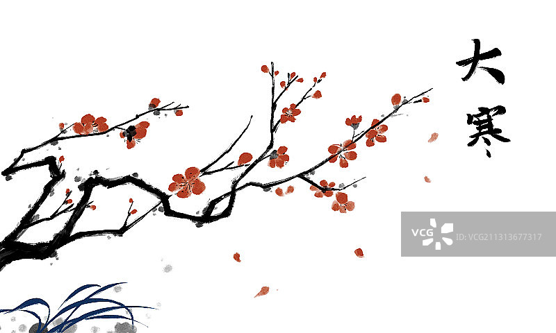 节气大寒梅花红梅插画图片素材