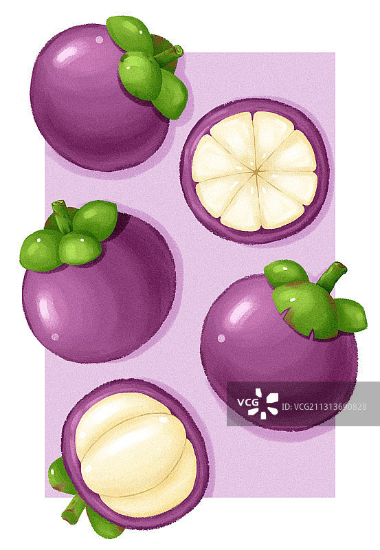 数位板绘画山竹水果元素装饰画素材平涂插画图片素材