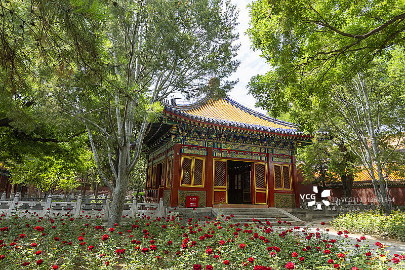 北京故宫（紫禁城）慈宁宫花园图片素材