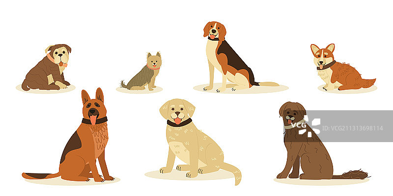 可爱的快乐犬品种图片素材