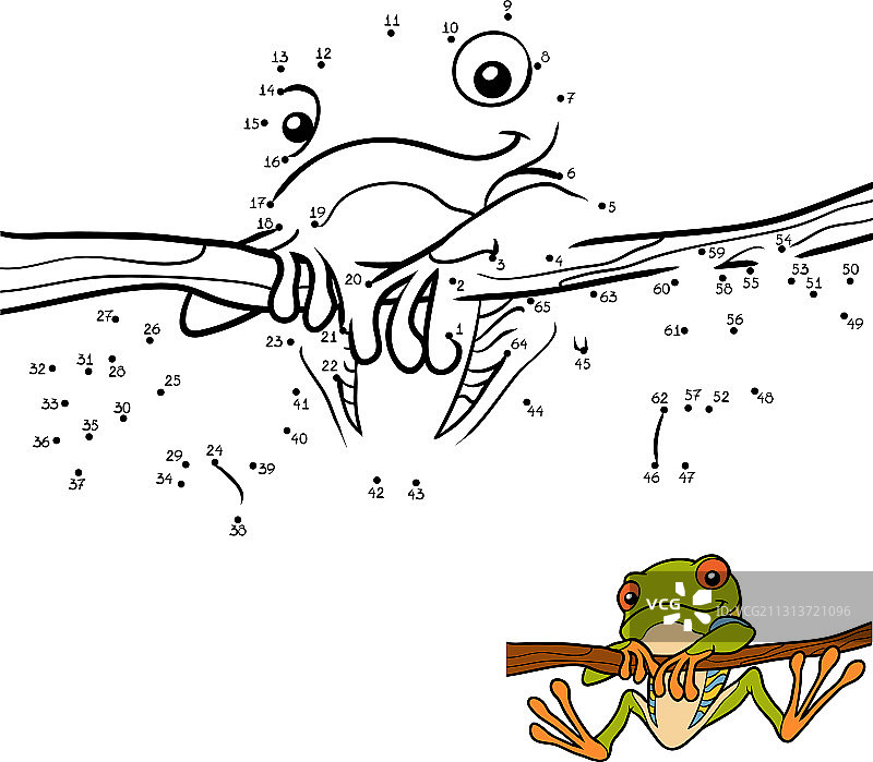 儿童数字游戏：红眼树蛙图片素材