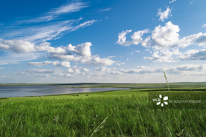呼伦贝尔大草原呼和诺尔湖畔风景图片素材
